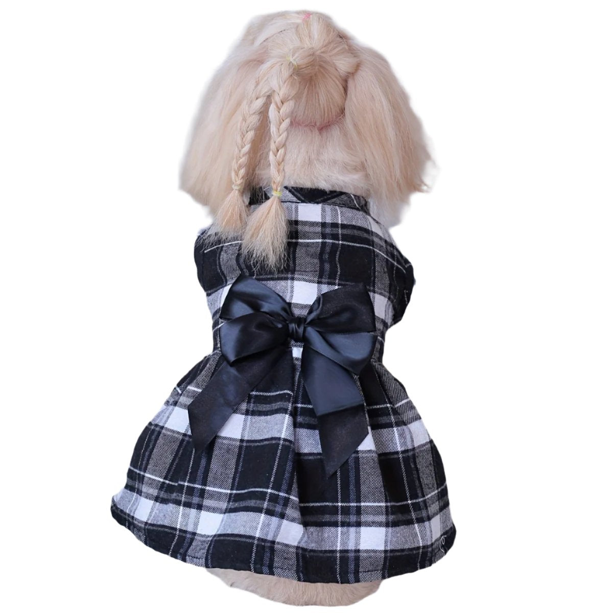 50089388835123|50089388933427|50089389031731|50089389130035|50089389228339|50089389326643