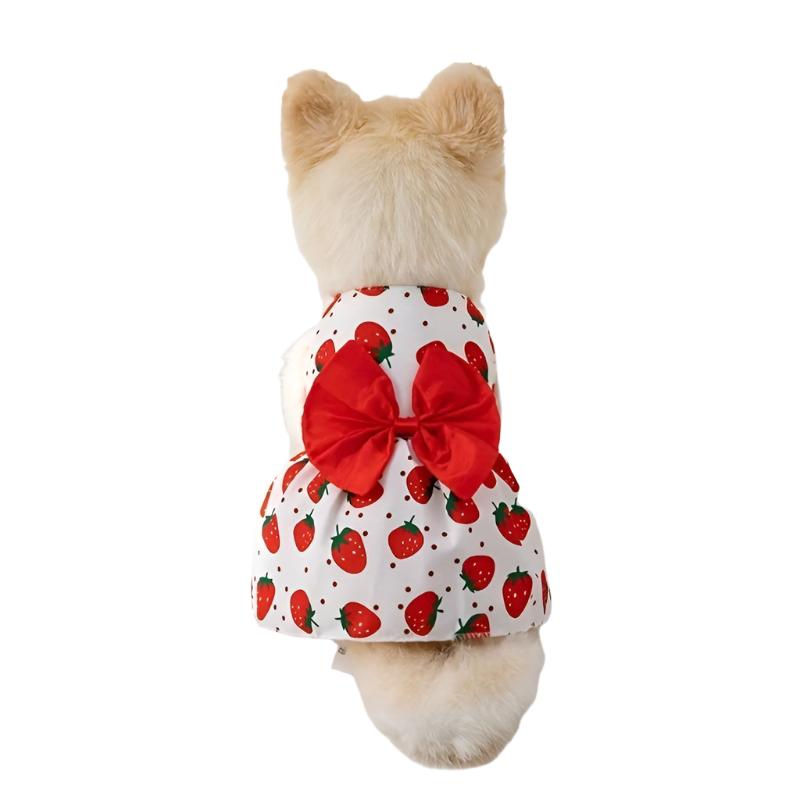 50089420390707|50089420554547|50089420718387|50089420914995