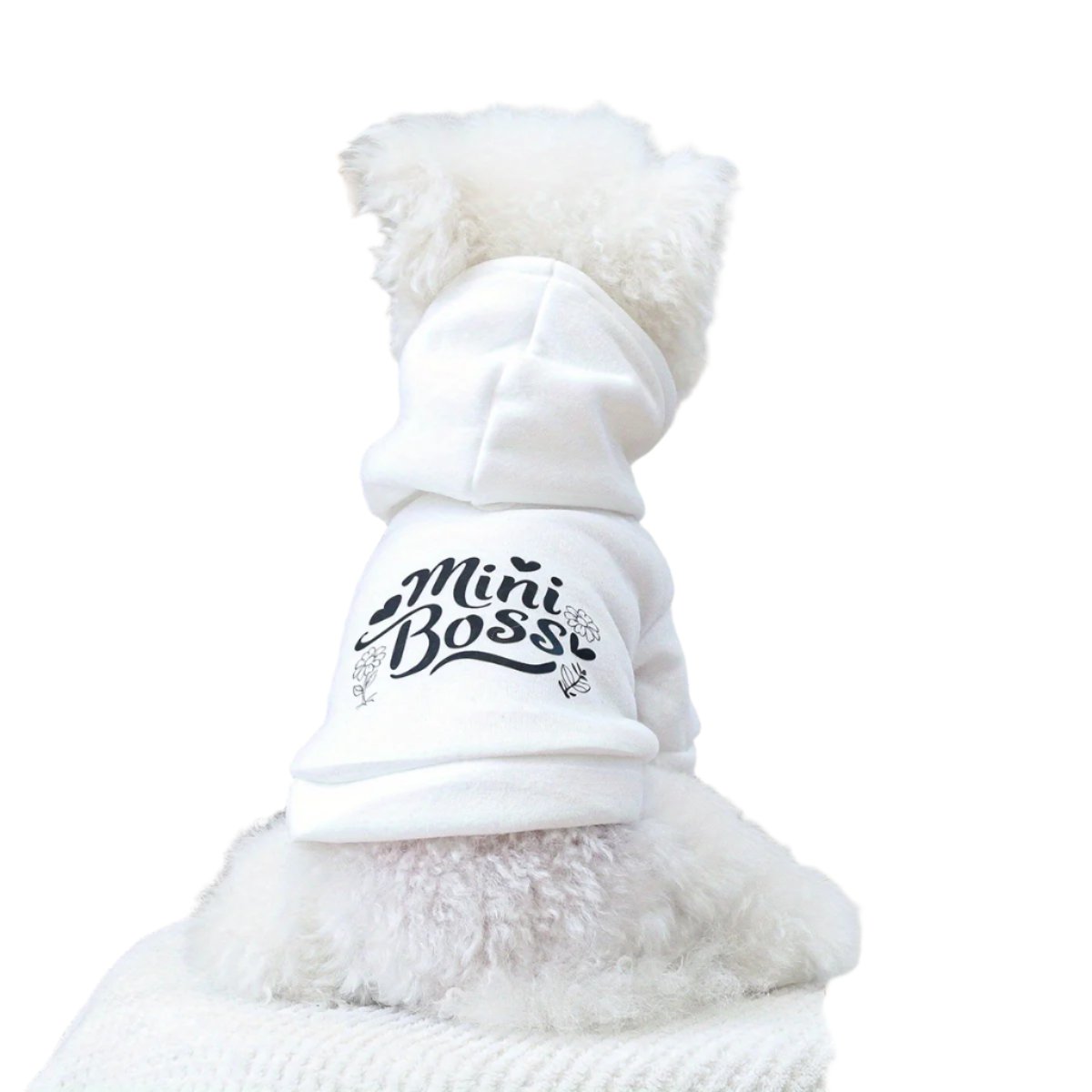 Mini Boss