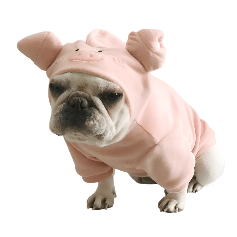 Piggy