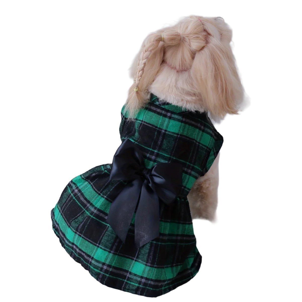 50089388802355|50089388900659|50089388998963|50089389097267|50089389195571|50089389293875