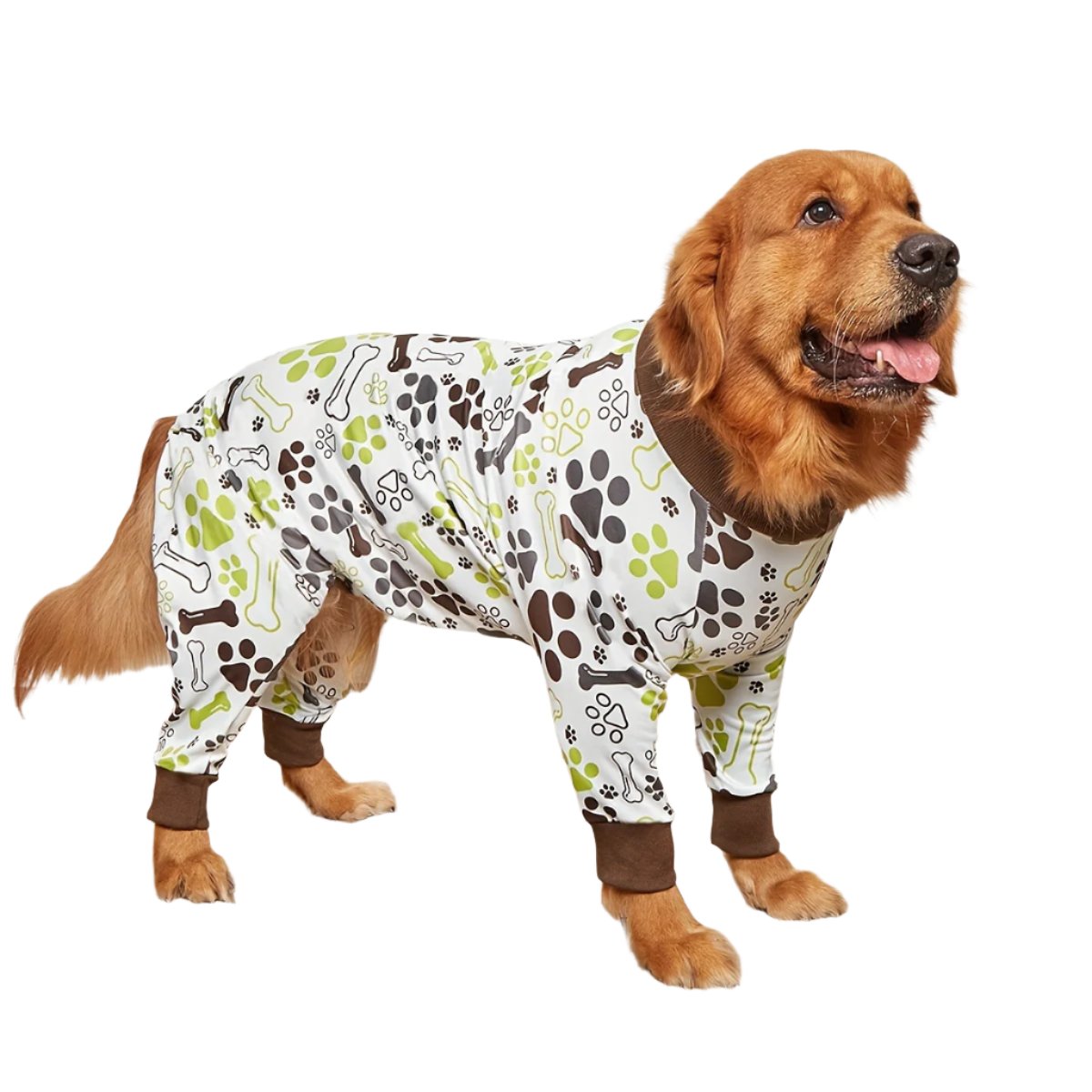 50078709383475|50078709449011|50078709514547