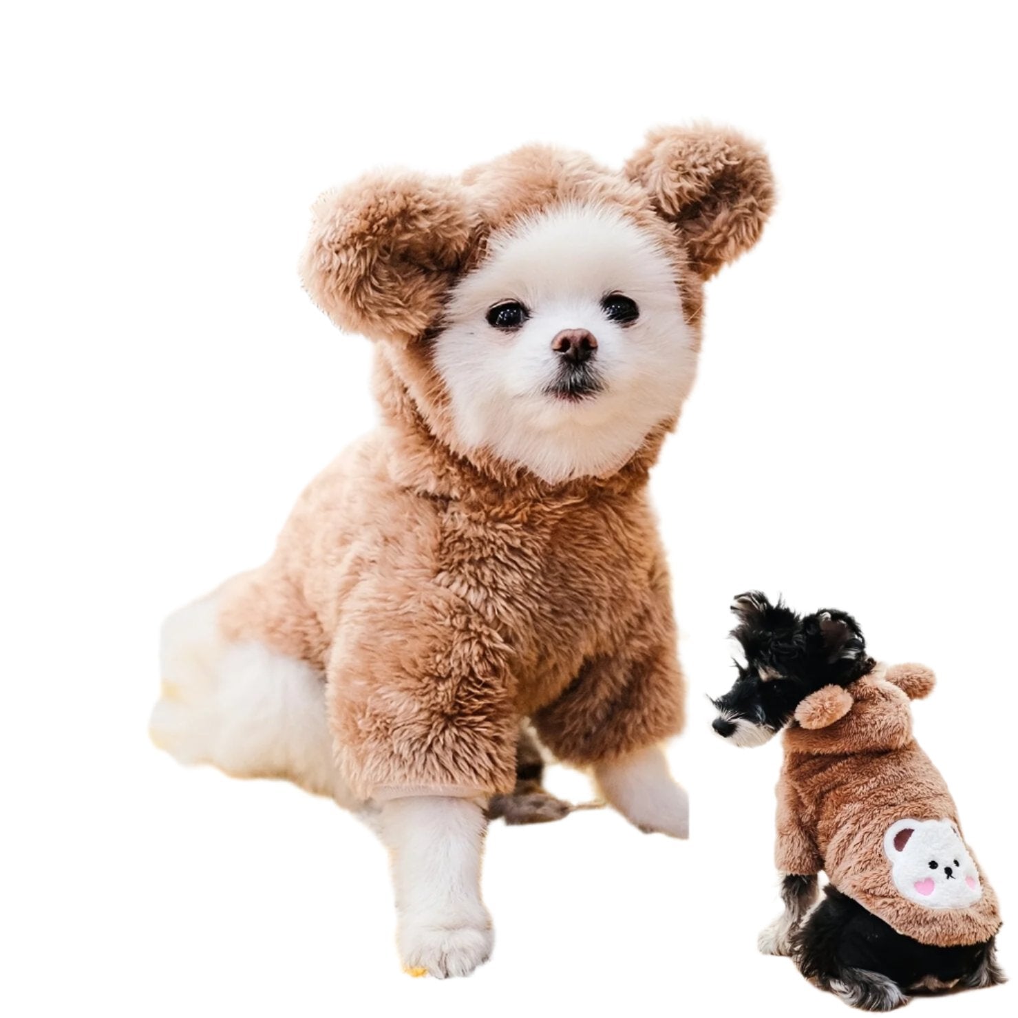 Teddy Bear