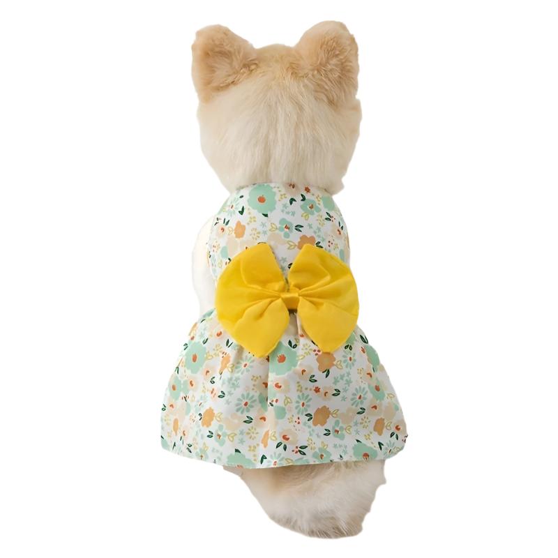 50089420456243|50089420620083|50089420783923|50089421144371