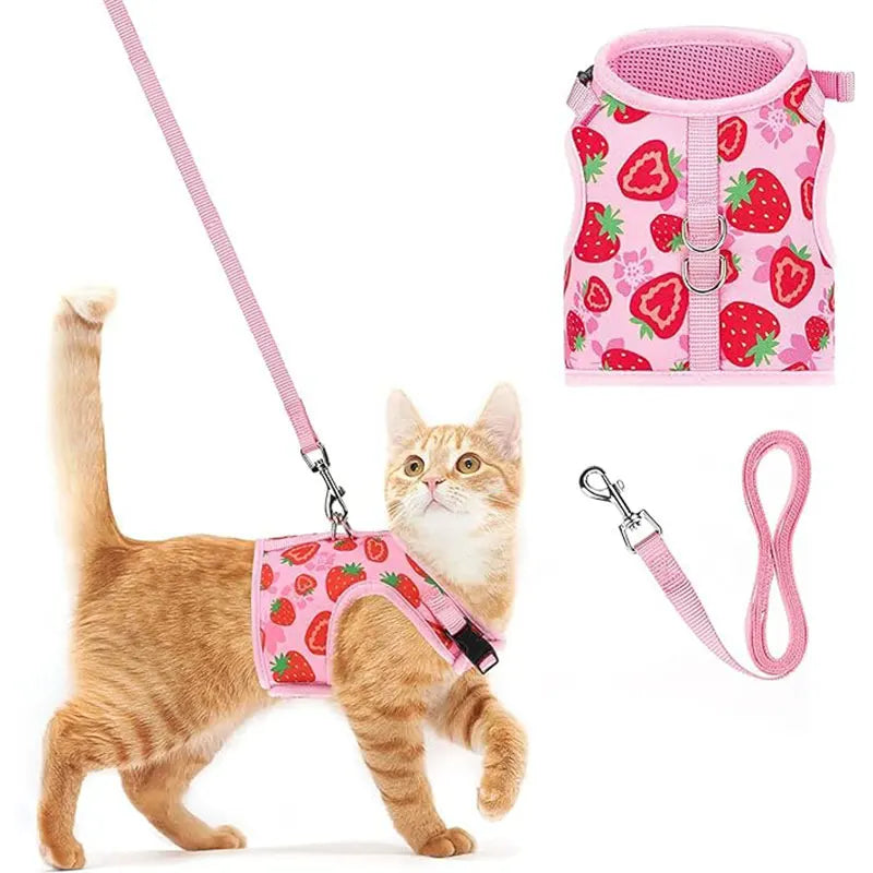 Strawberry Leash