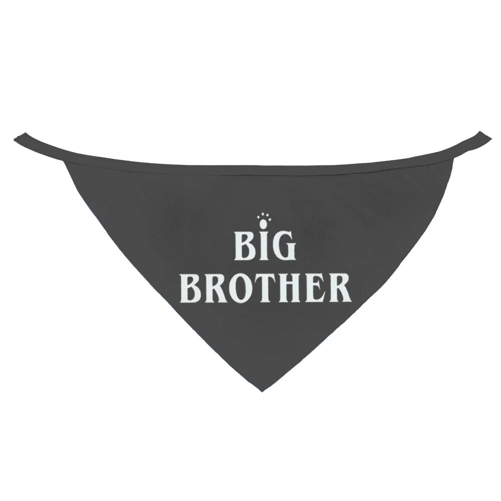 BIG BROTHER