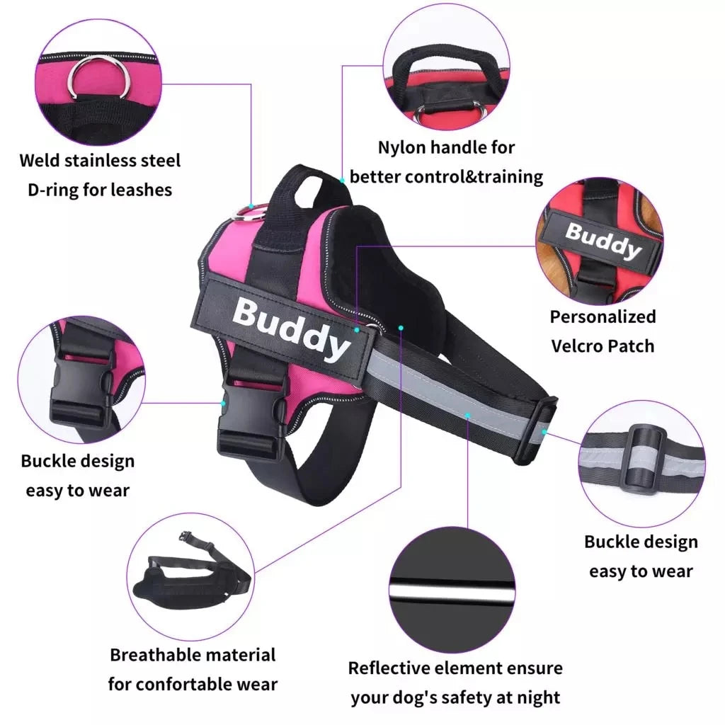 Buddy Harness