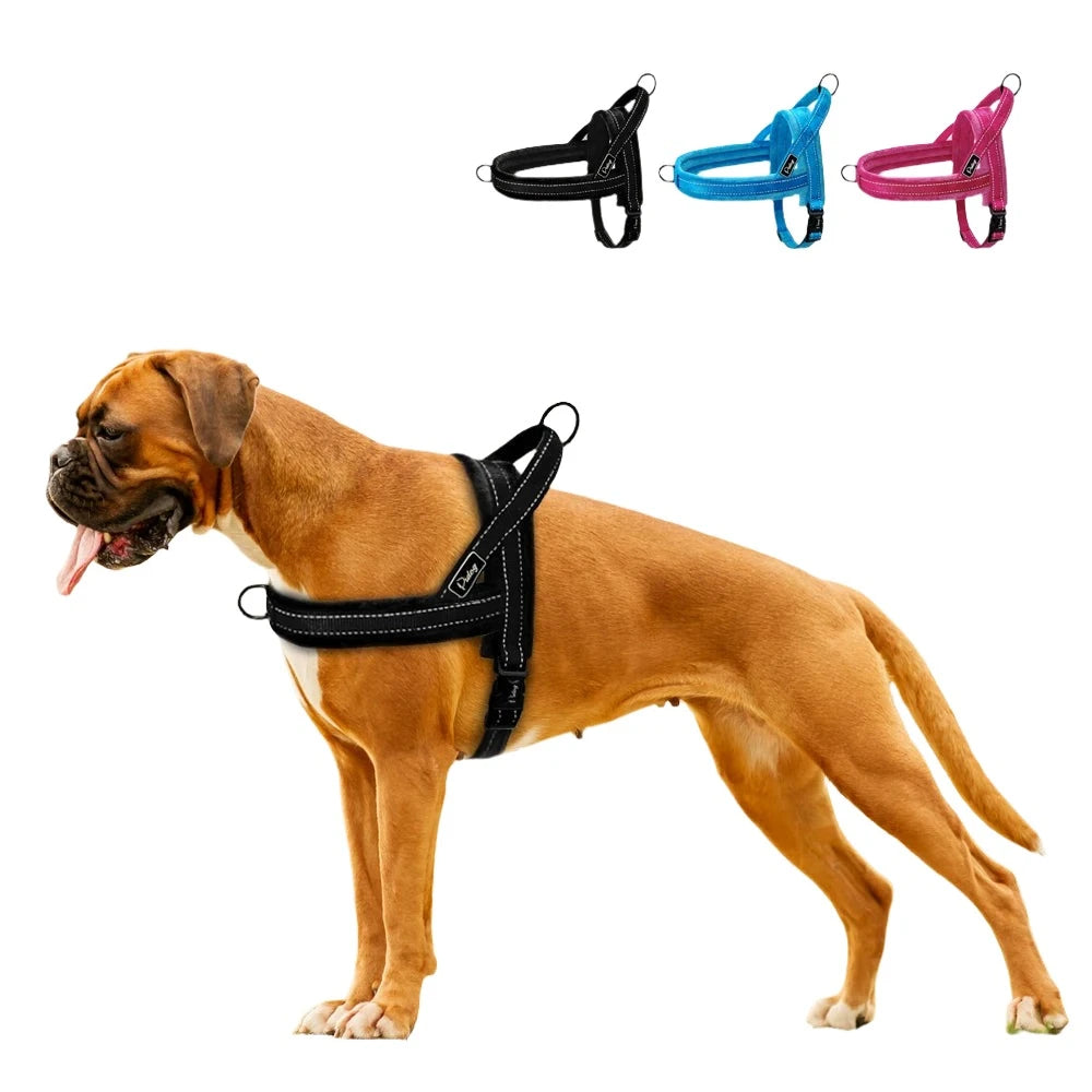 Reflective Harness