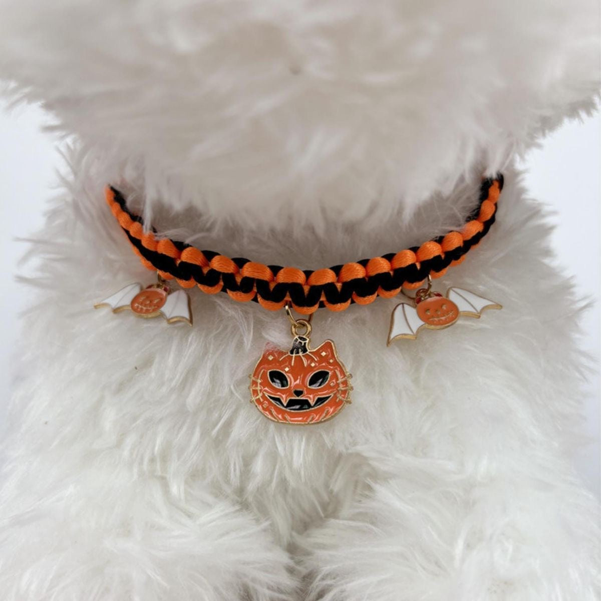 Collars and Leashes