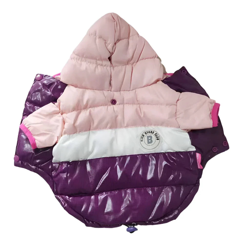 50089732440371|50089732473139|50089732538675|50089732997427|50089733030195|50089733062963|50089733095731