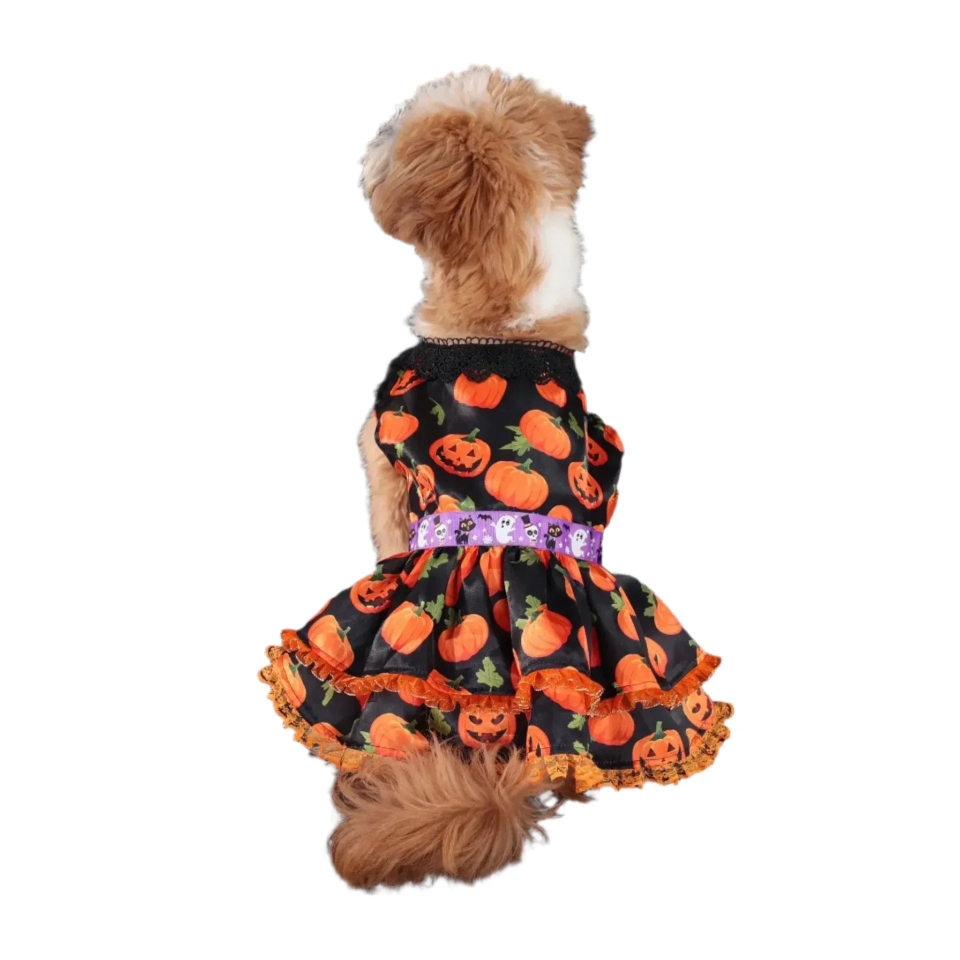 Pumpkin Lace Dress
