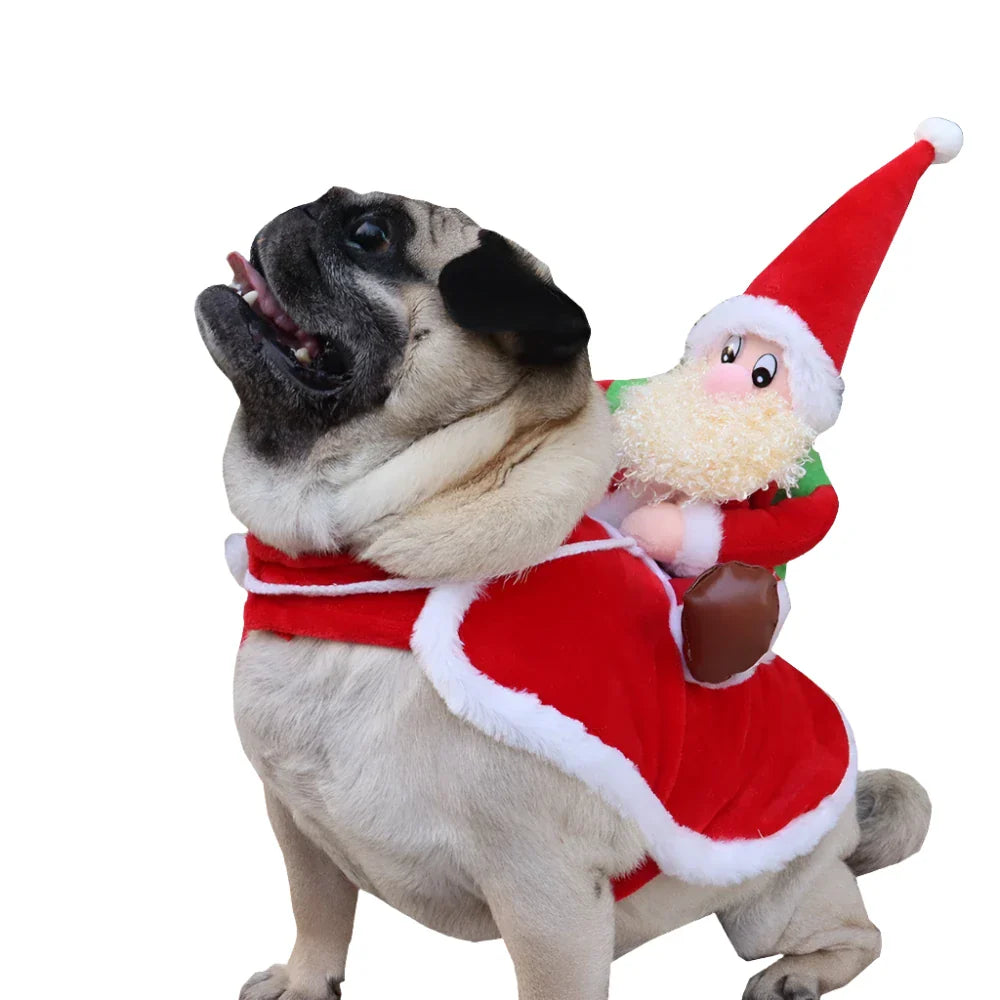 Santa Costume