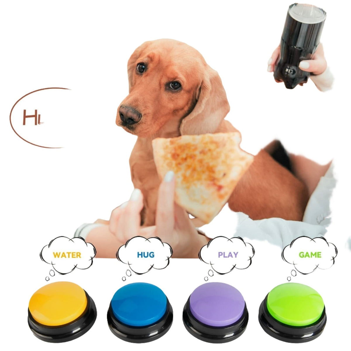 Boive Box Voice Box – PickALick