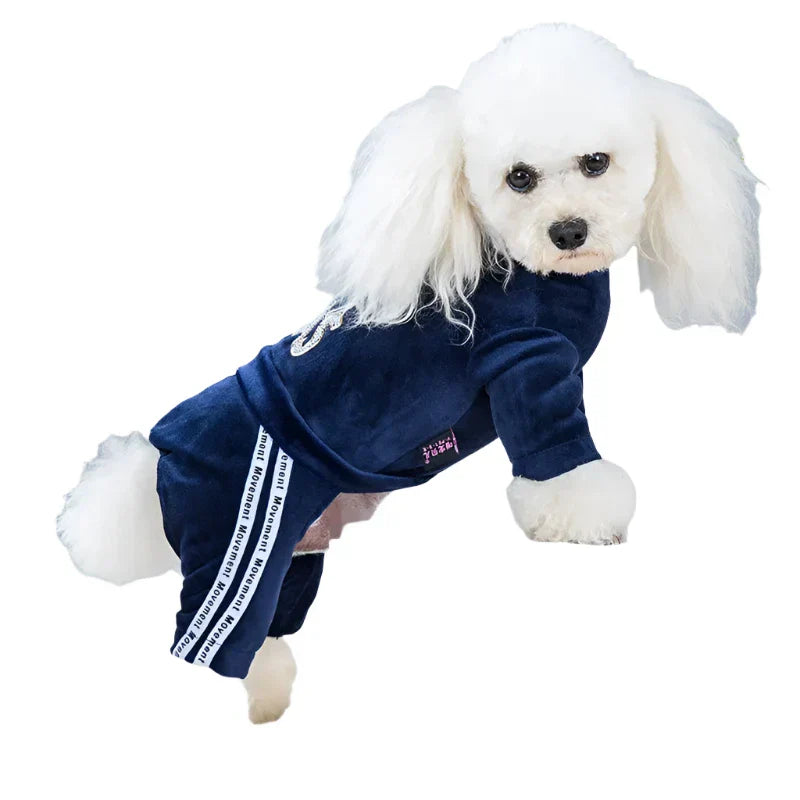 50078648205619|50078648238387|50078648271155|50078648303923|50078648336691