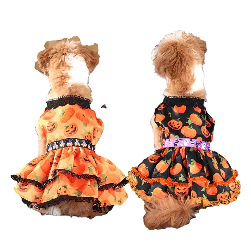 Pumpkin Lace Dress