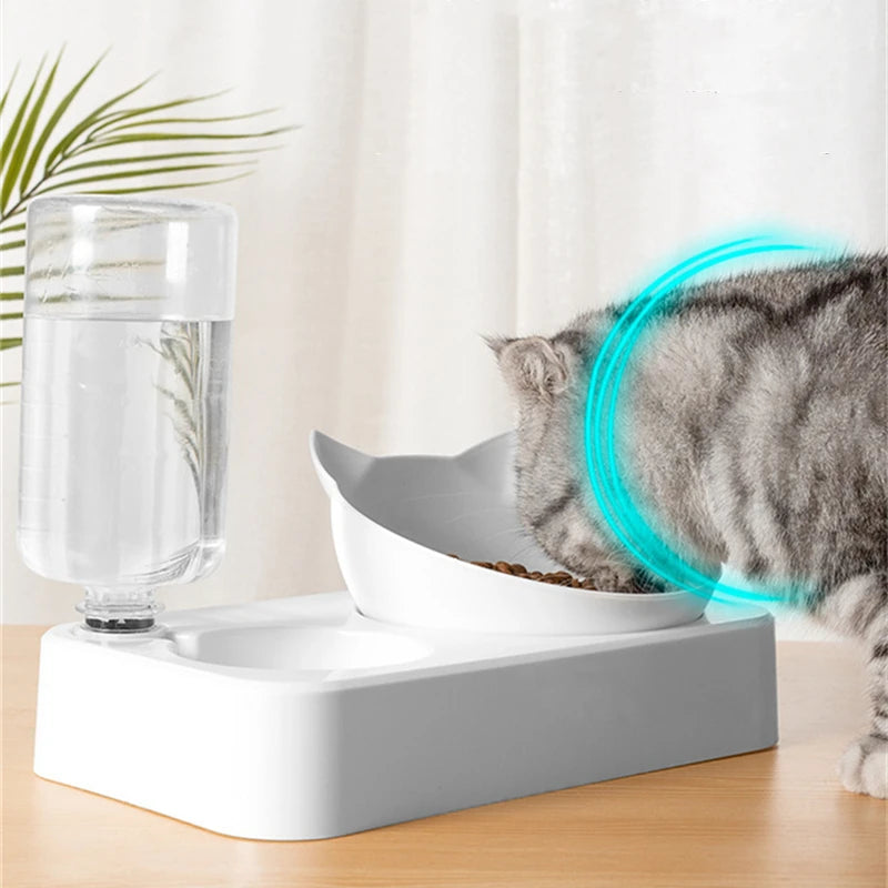 2-in-1 Pet Feeding Bowl