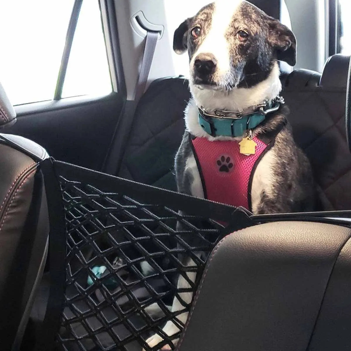 Rear Seat Car Fence