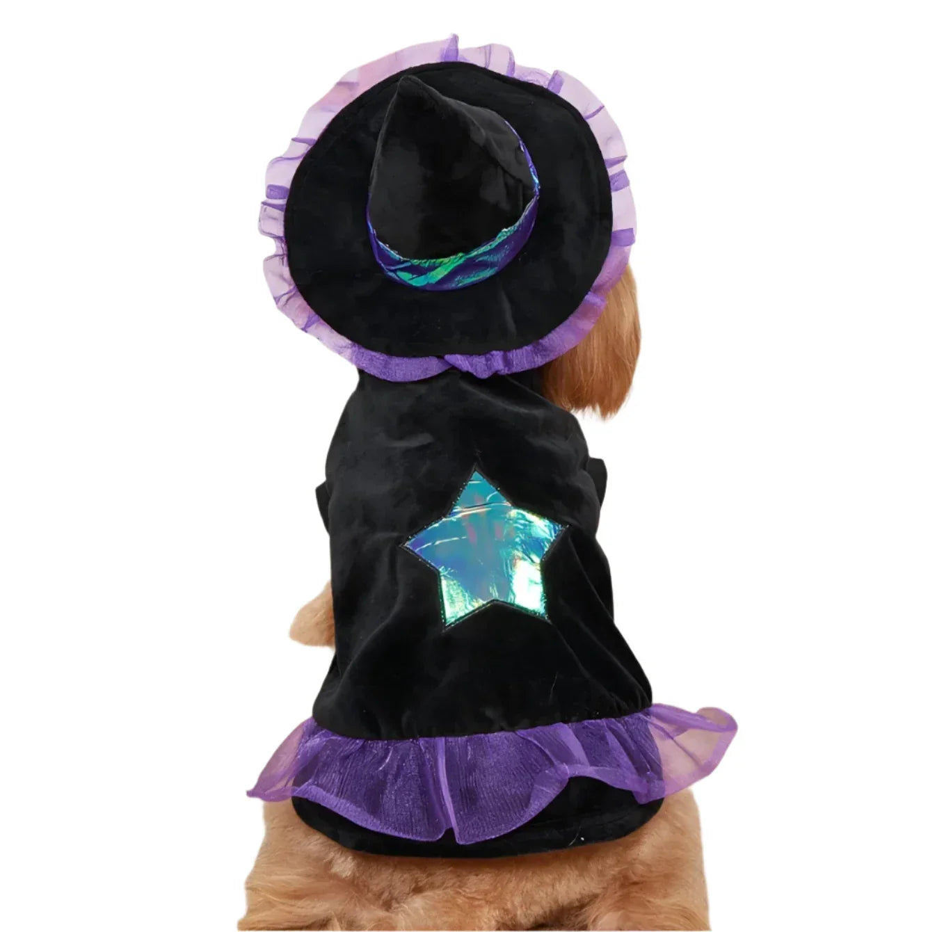 Halloween Star