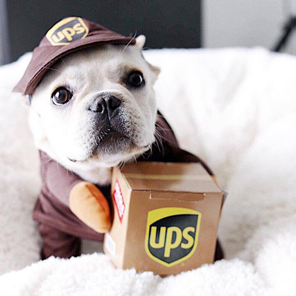 Ups