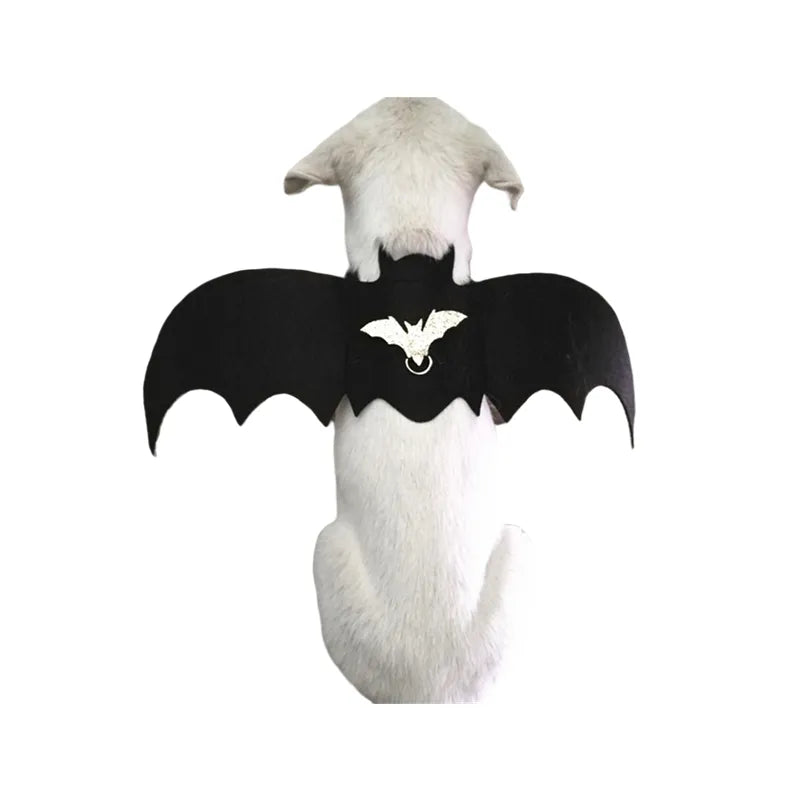 Bat