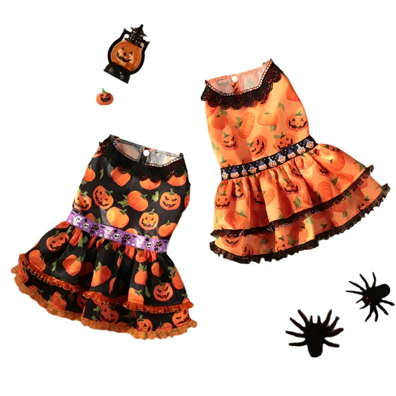Pumpkin Lace Dress