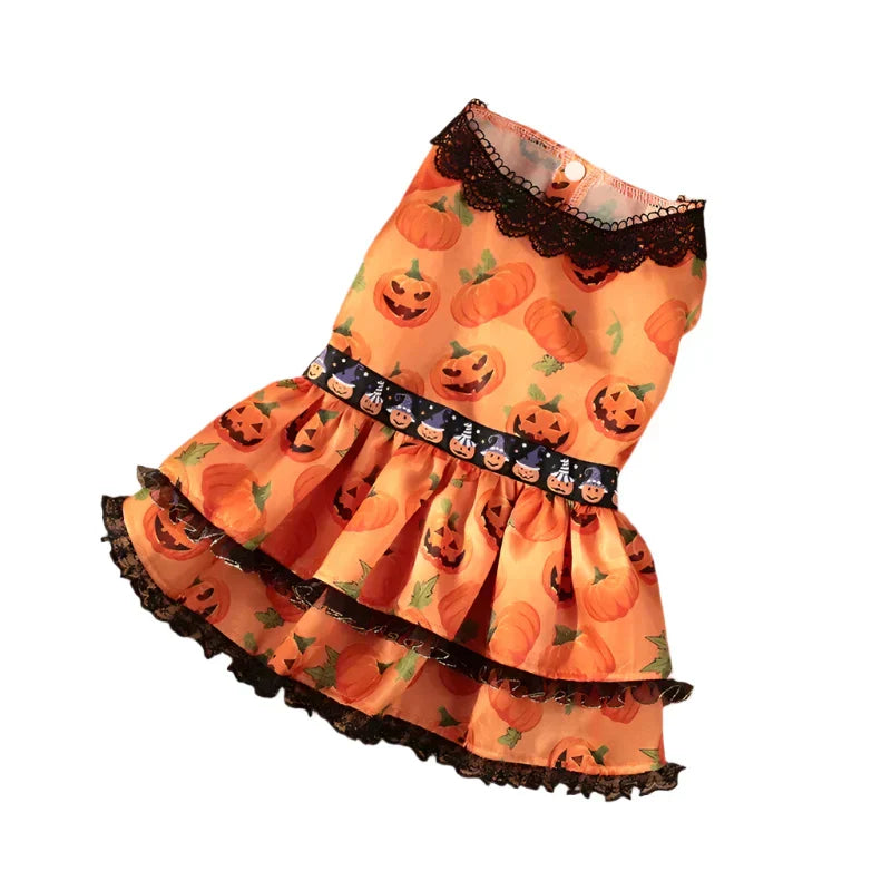 50257956274483|50257956307251|50257956340019|50257956372787