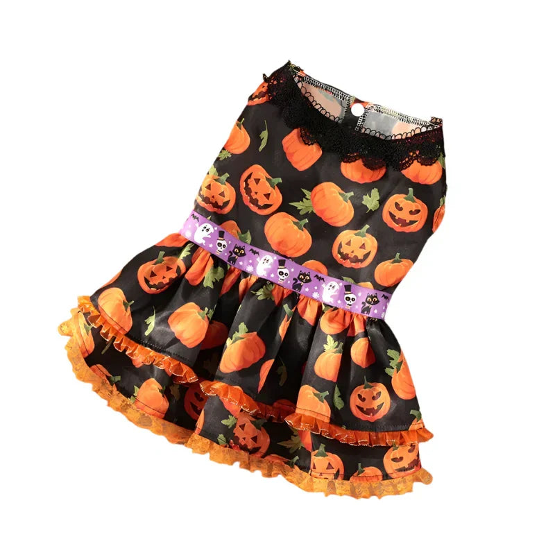 50257956143411|50257956176179|50257956208947|50257956241715