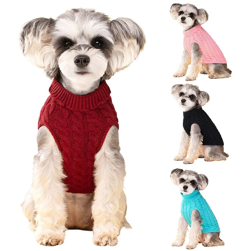Cozy Sweater
