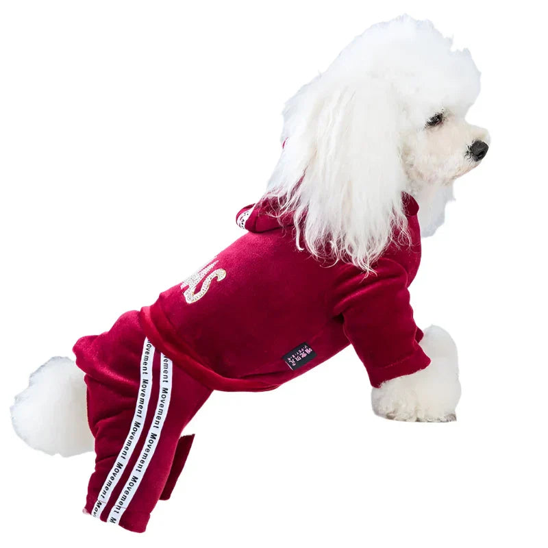 50078648172851|50078648434995|50078648467763|50078648500531|50078648533299