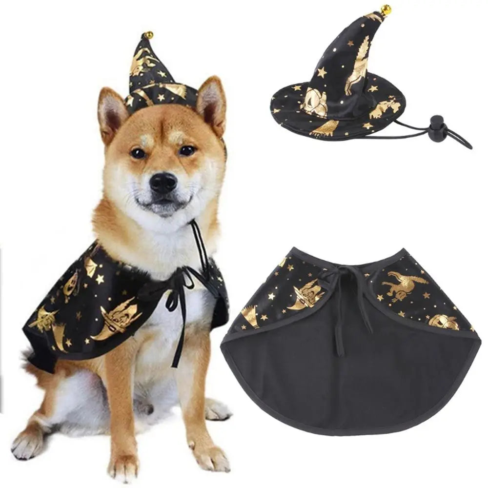 Wizard