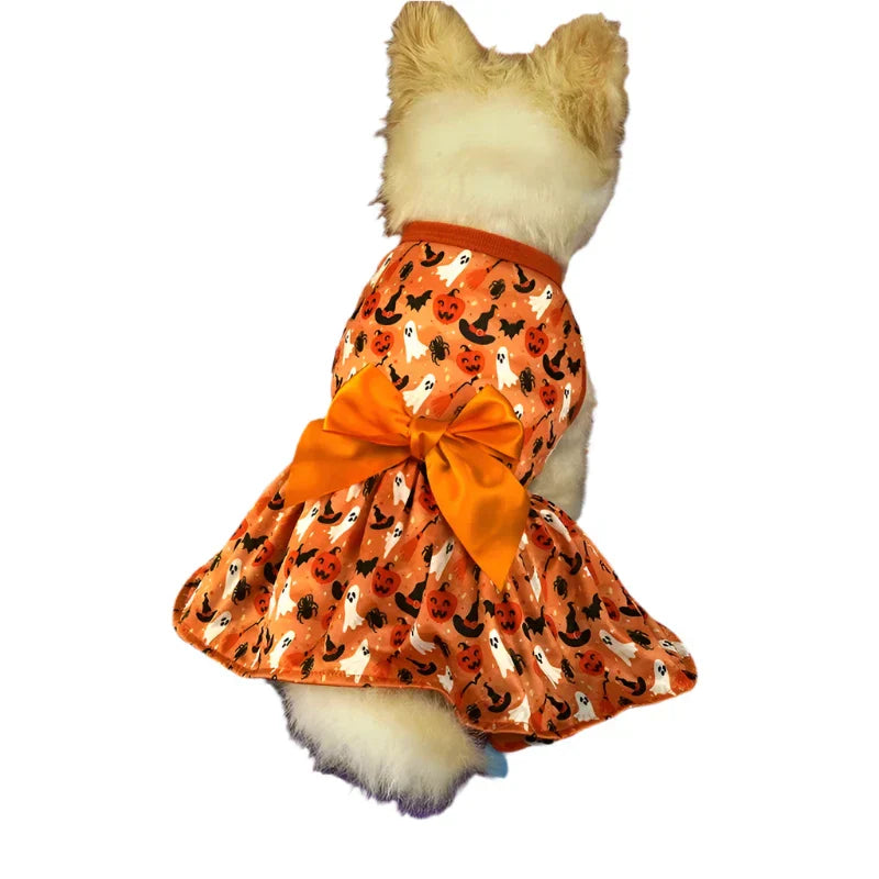 Pumpkin Bow