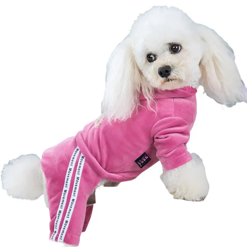 50078648369459|50078648402227|50078648566067|50078648598835|50078648631603