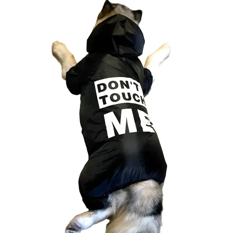 50138344554803|50138344587571|50138344620339|50138344653107|50138344685875|50138345013555|50138345046323|50138345079091|50138345111859|50138345210163|50138345242931