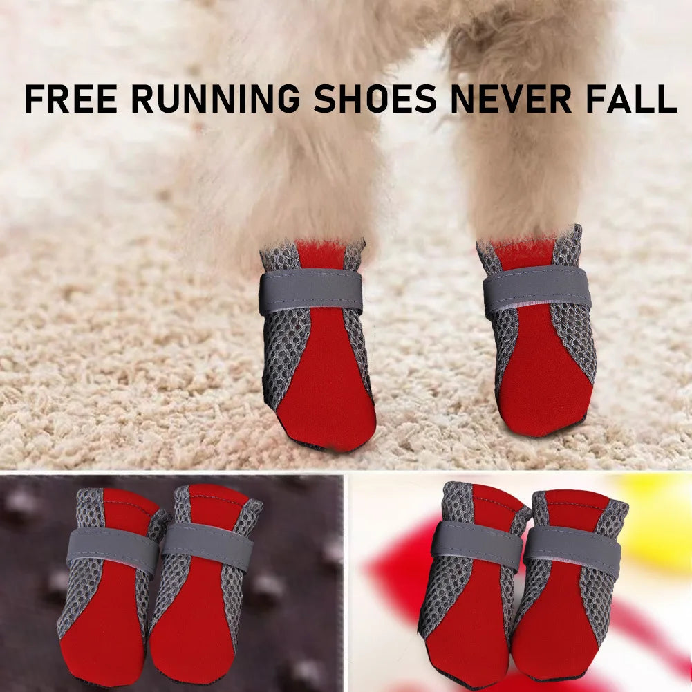 Shoes Puppy