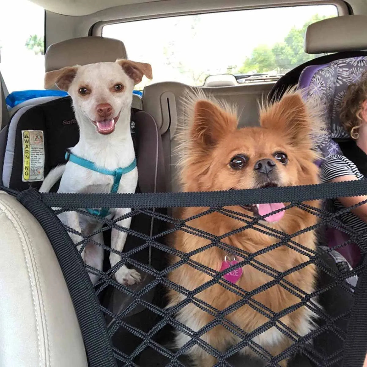 Rear Seat Car Fence