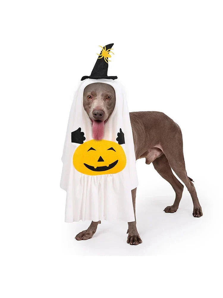 50257818911027|50257818943795|50257818976563