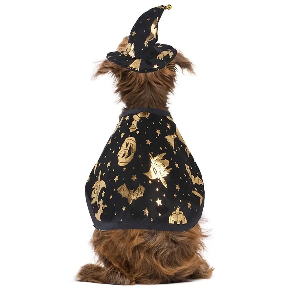 Wizard