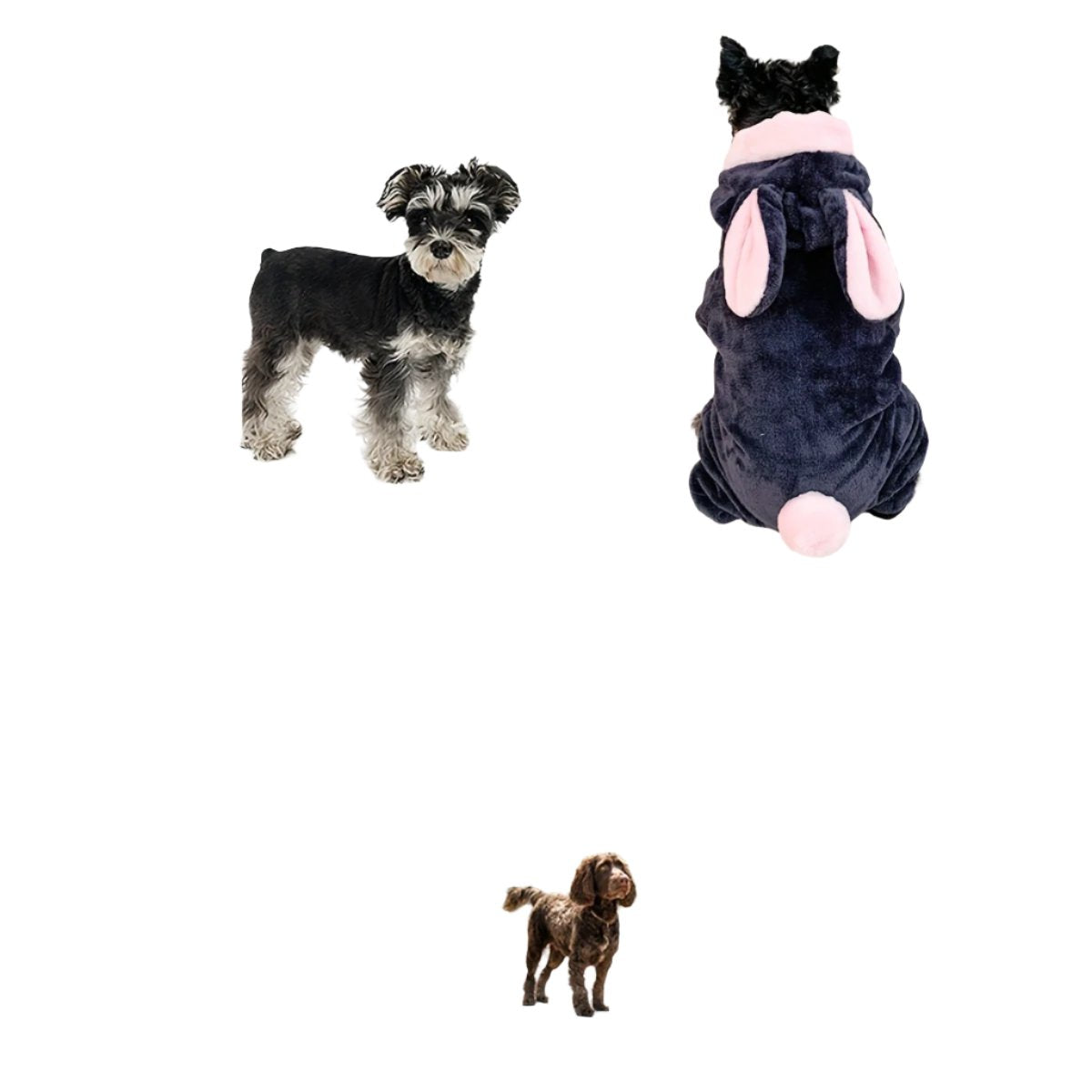 50078709842227|50078709874995