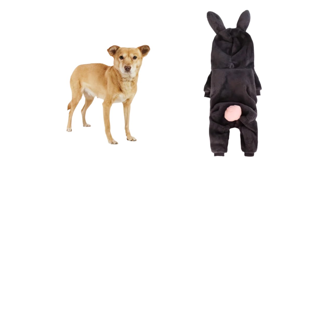 50078709907763|50078709940531