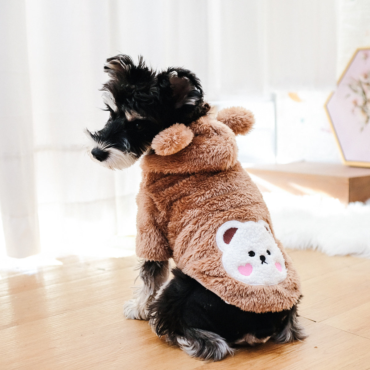 Teddy Bear