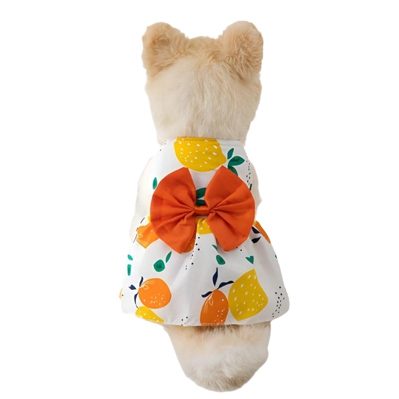 50089420489011|50089420652851|50089420816691|50089421177139