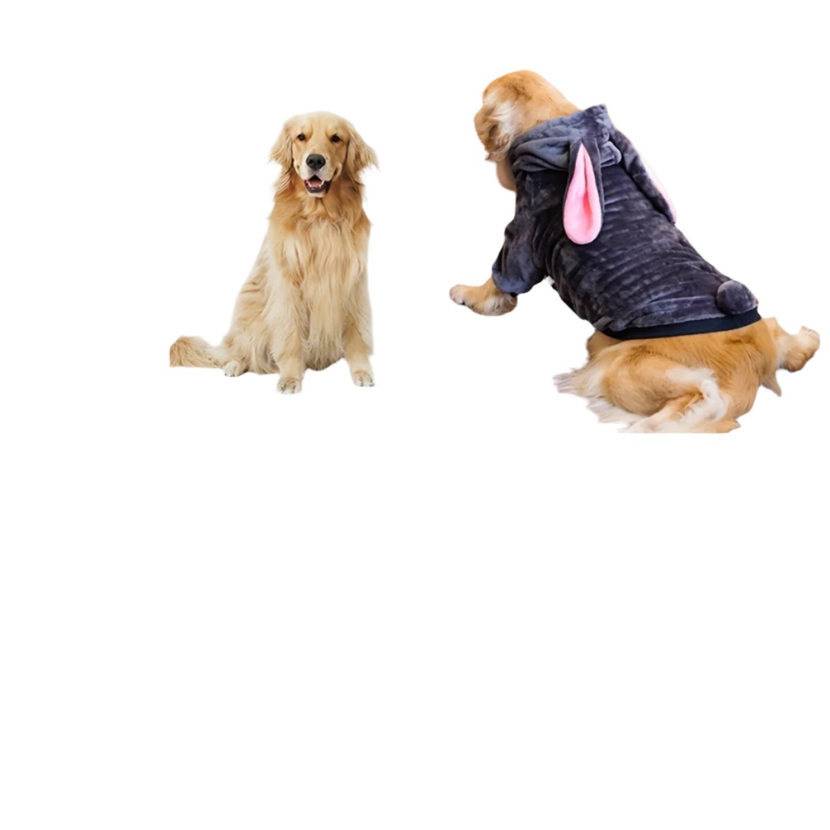 50078710071603|50078710104371|50078710137139