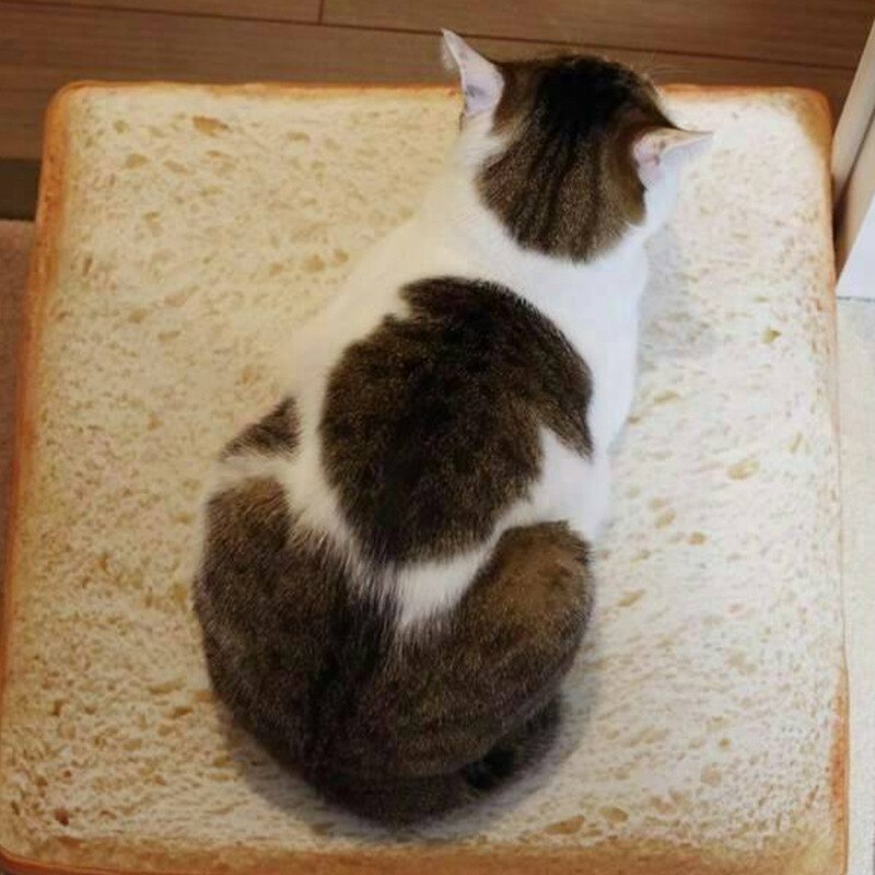 Toast Bread