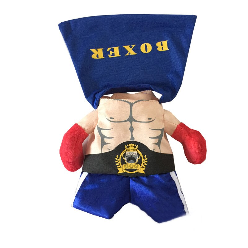 Boxer