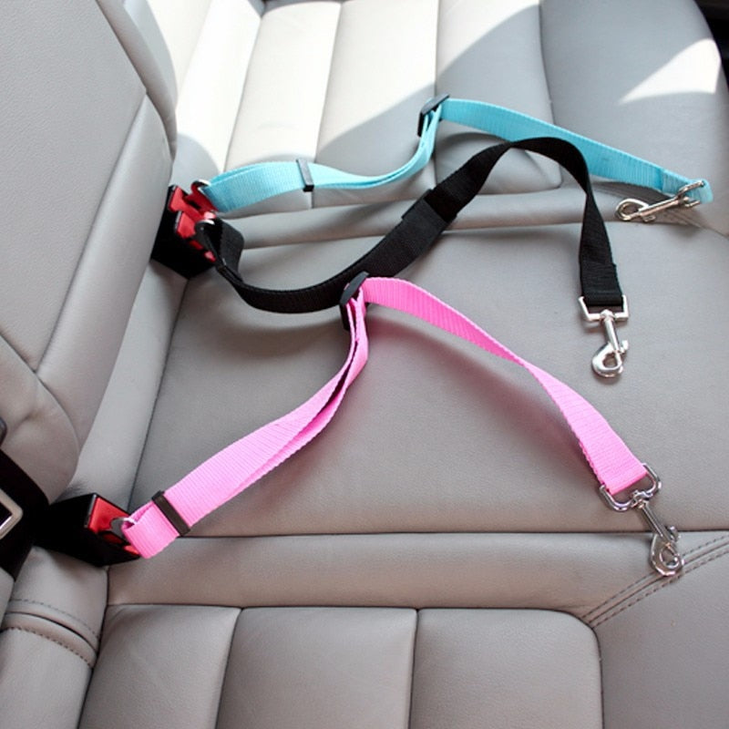 Car Seat Belt