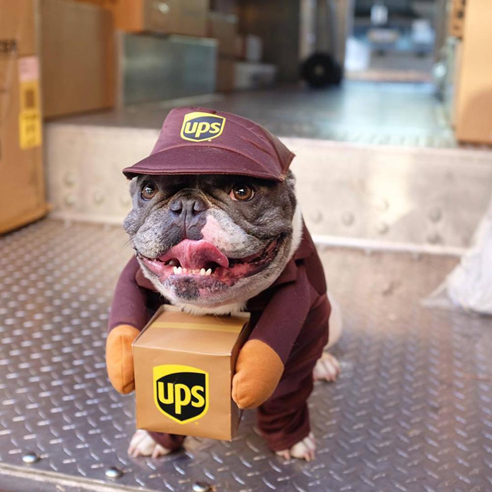 Ups