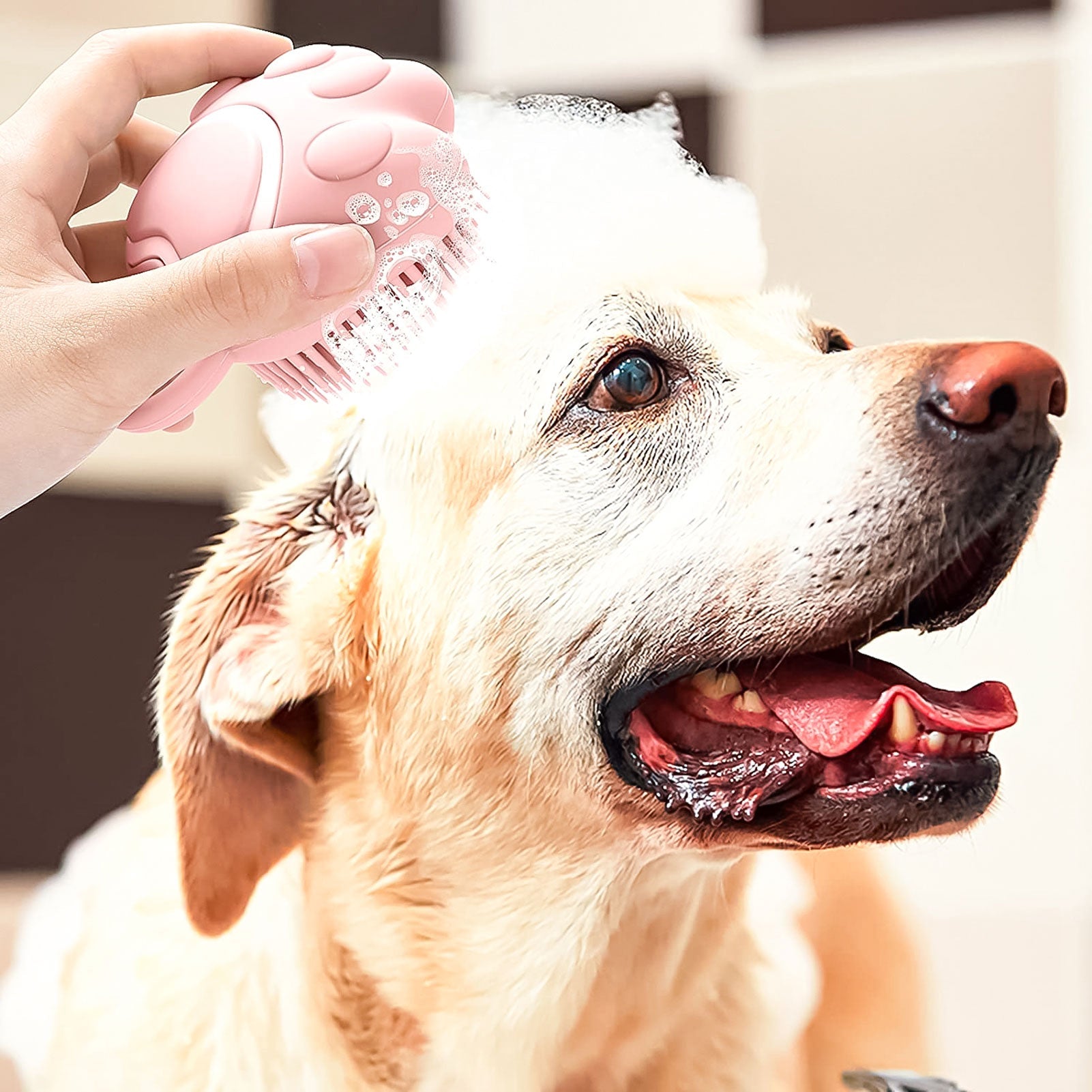 Shampoo Brush