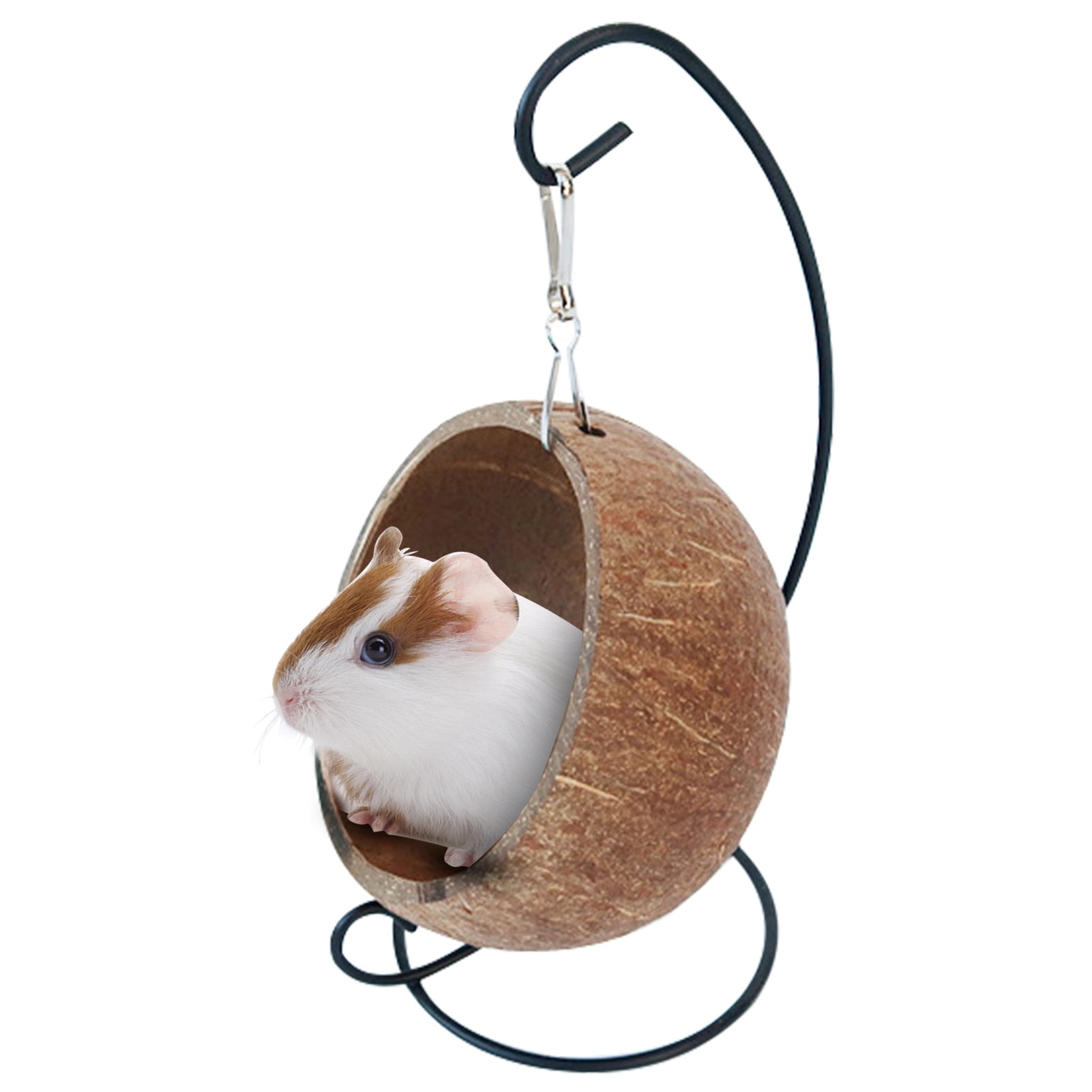 Coconut Cage