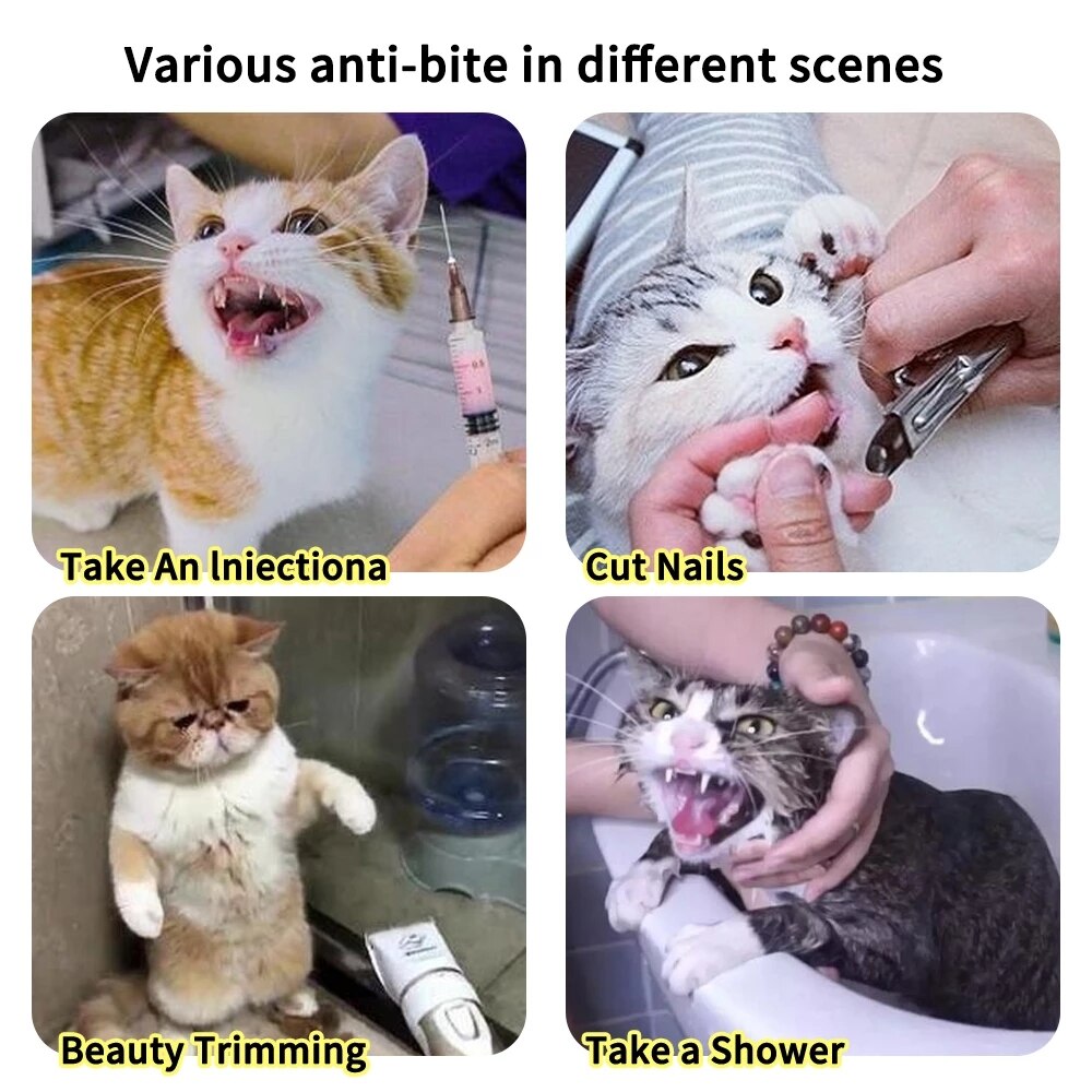 Anti-Bite Cat