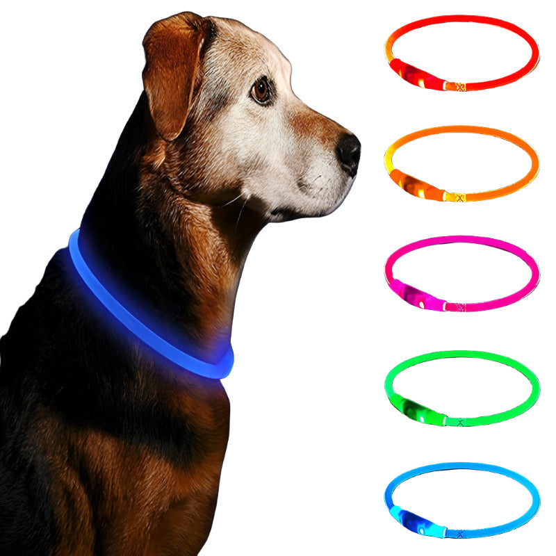 Led Collar